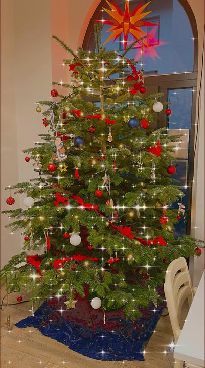 Weihnachtsbaum Familienzentrum